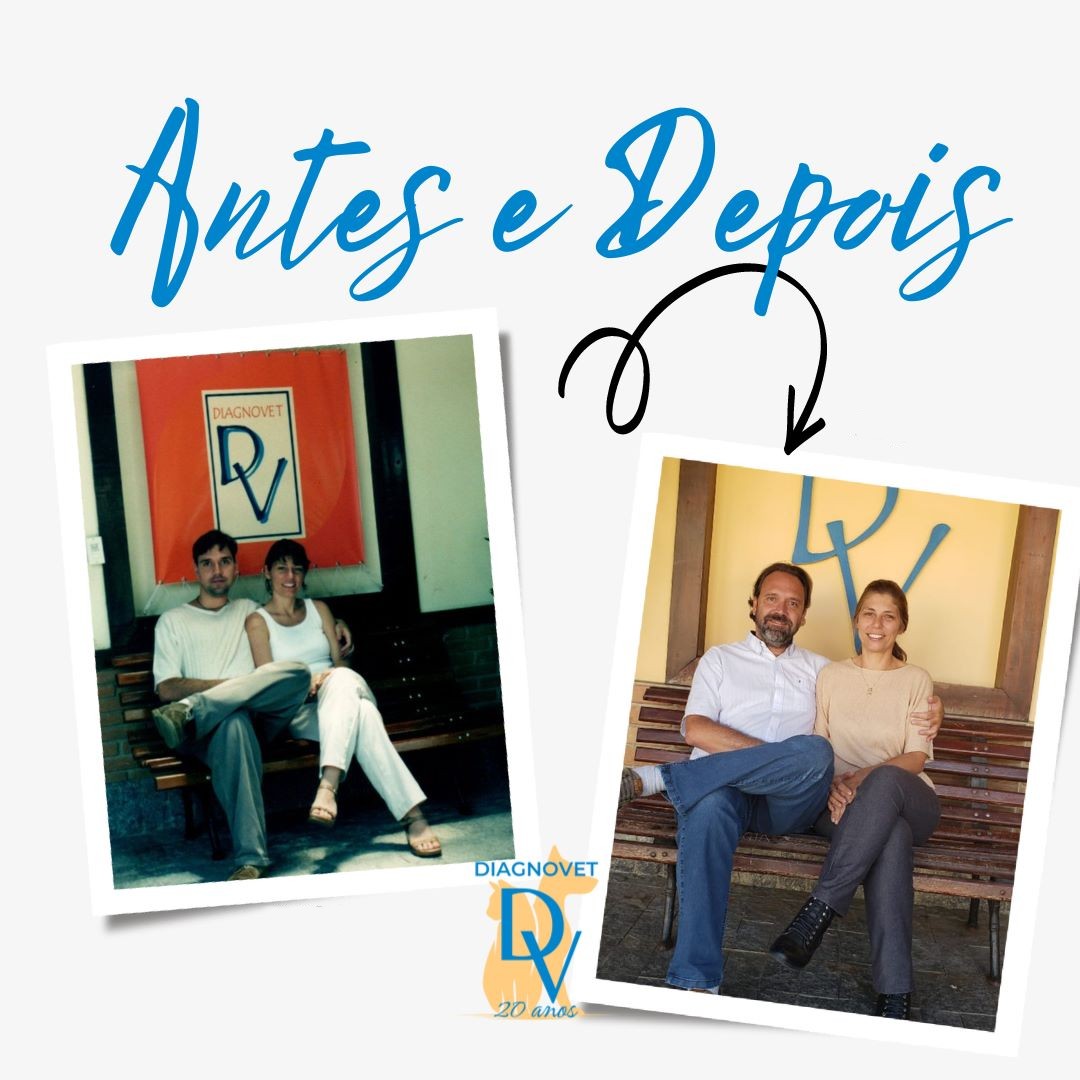 Centro de Diagnóstico Veterinário Diagnovet desde 2003 em São José dos Campos