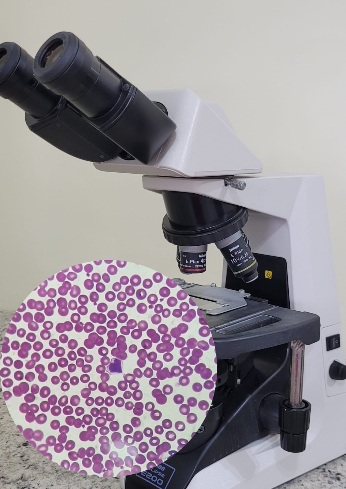 Laboratório clínico veterinário com exames de sangue e urina - Diagnovet